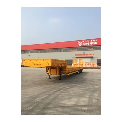 Lowbed trailer with loading ramp for custom option discussion